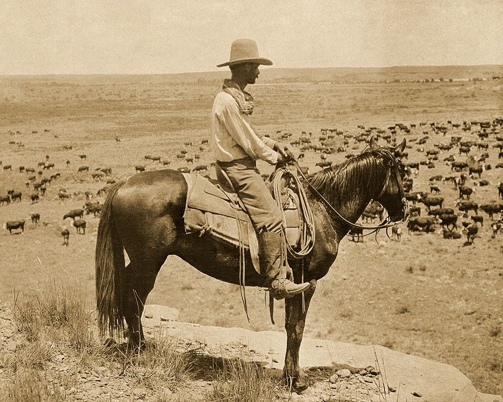 A Texas cowboy, 1907 - Sepia