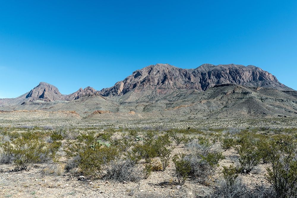 Scenery in Big Bend National Park, TX