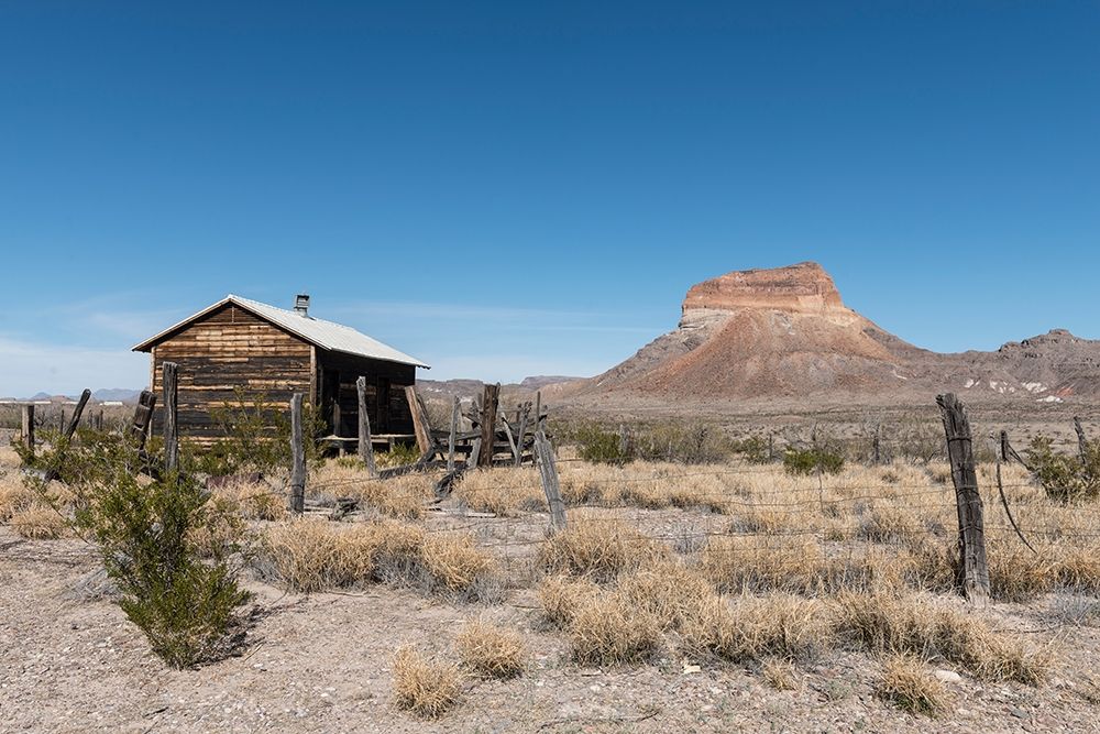 Scenery in Big Bend National Park, TX