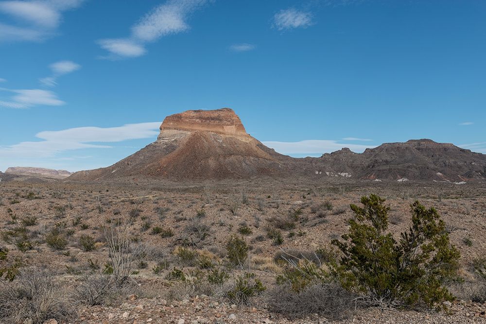 Scenery in Big Bend National Park, TX