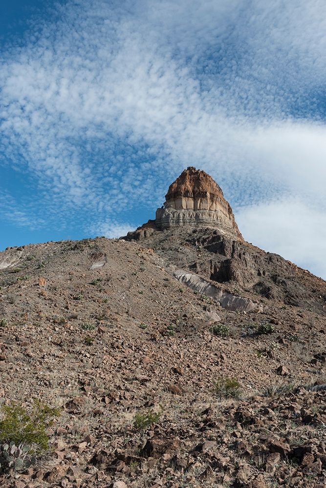 Scenery in Big Bend National Park, TX