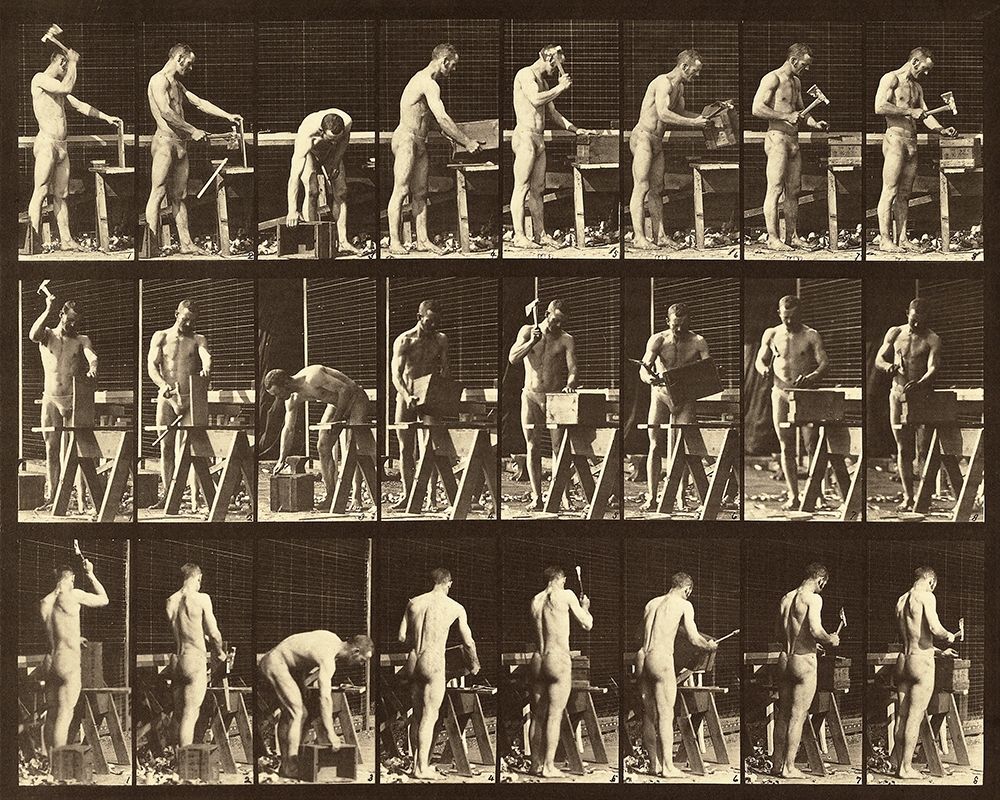 Motion Study: Woodwork