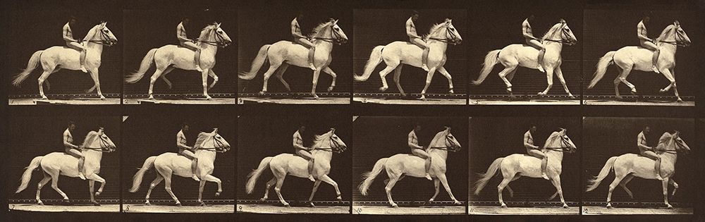 Motion Study: Man Riding A Horse