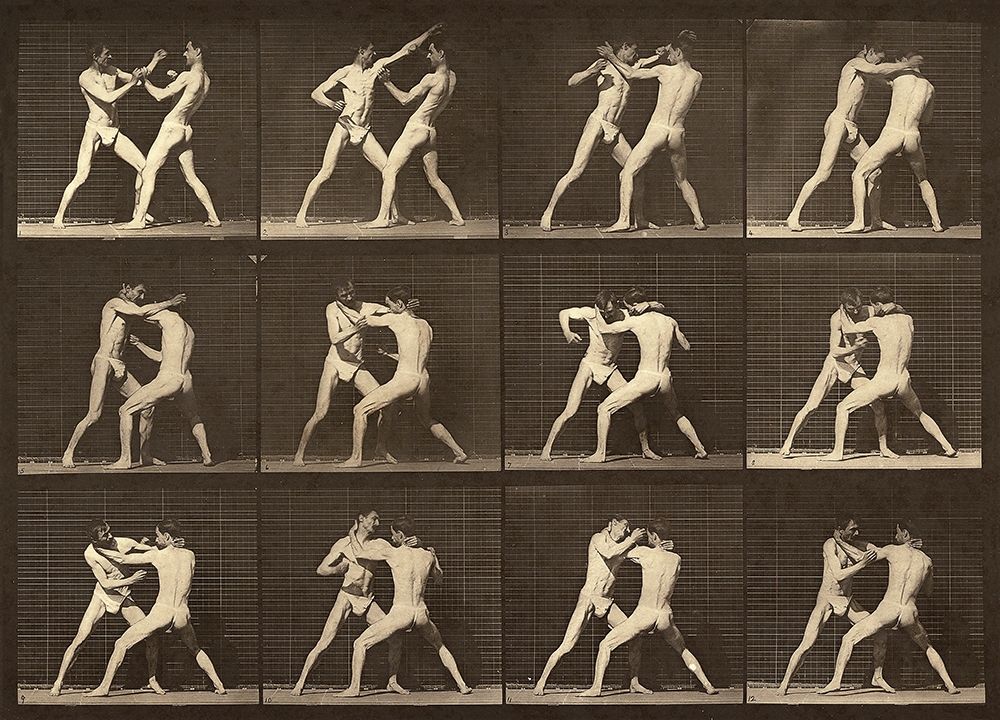 Motion Study: Men Fighting