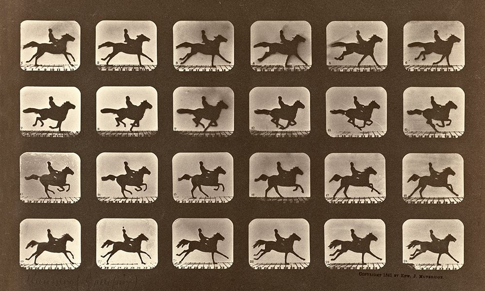 Motion Study: Man Riding A Galloping Horse