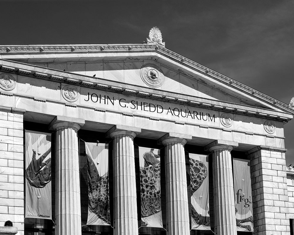 Shedd Aquarium Chicago Illinois