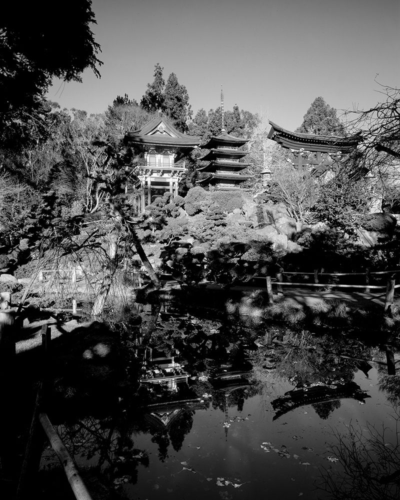 Japanese Tea Garden at Golden Gate Park San Francisco California