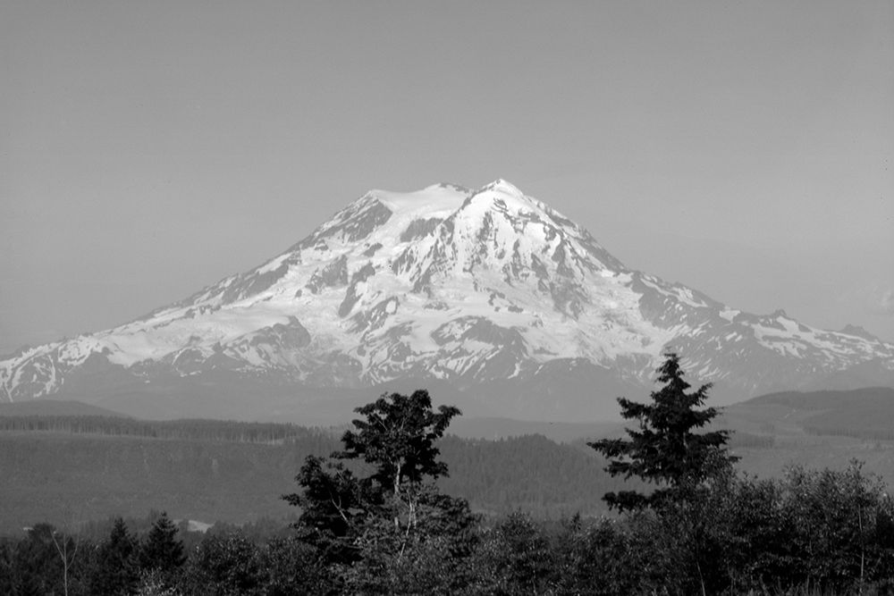 Mount Rainier Washington