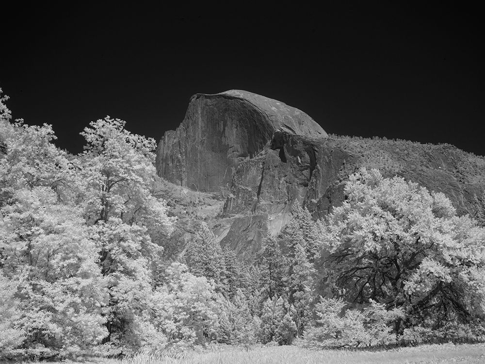 Half Dome in Yosemite National Park California