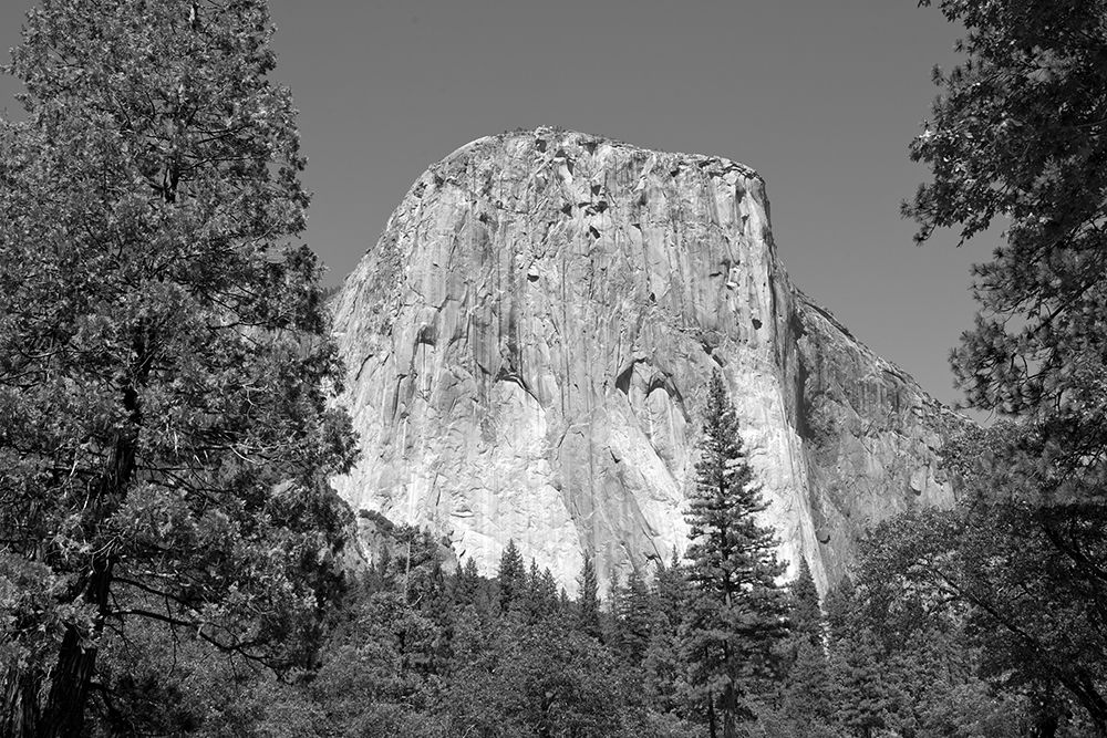 El Capitan in Yosemite National Park California