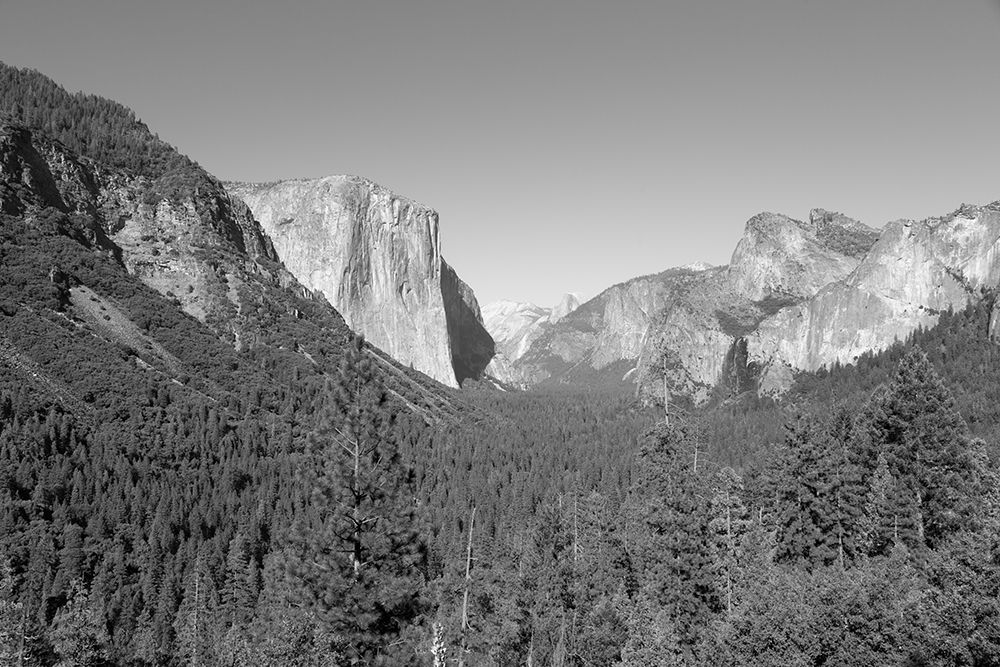 Yosemite National Park California