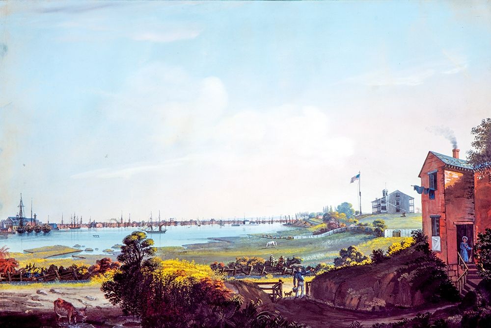 View of the City of New York and the Marine Hospital Taken from Wallabout