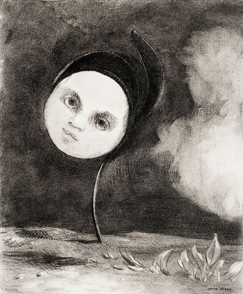 Strange Flower (Little Sister of the Poor)