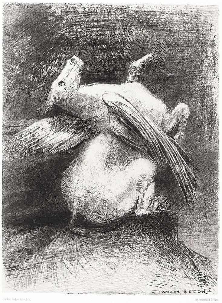 The Impotent Wing Did Not Lift the Animal Into That Black SpaceÂ