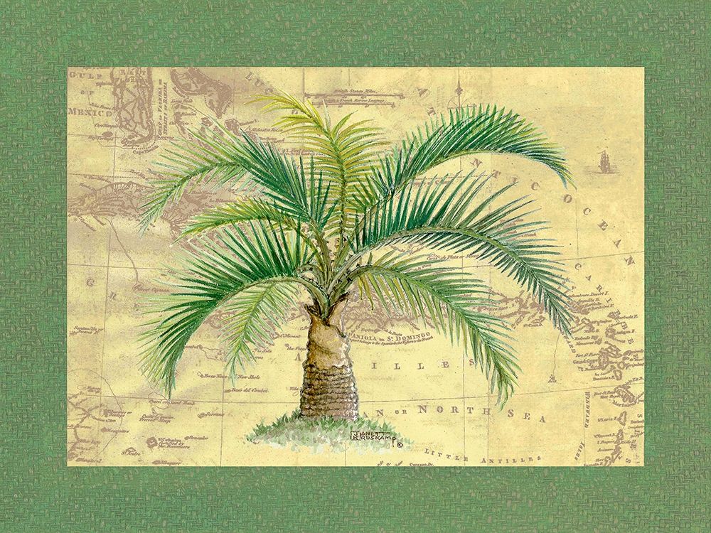 Palm Tree IV