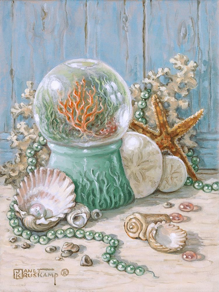Sea Shell Collection IV