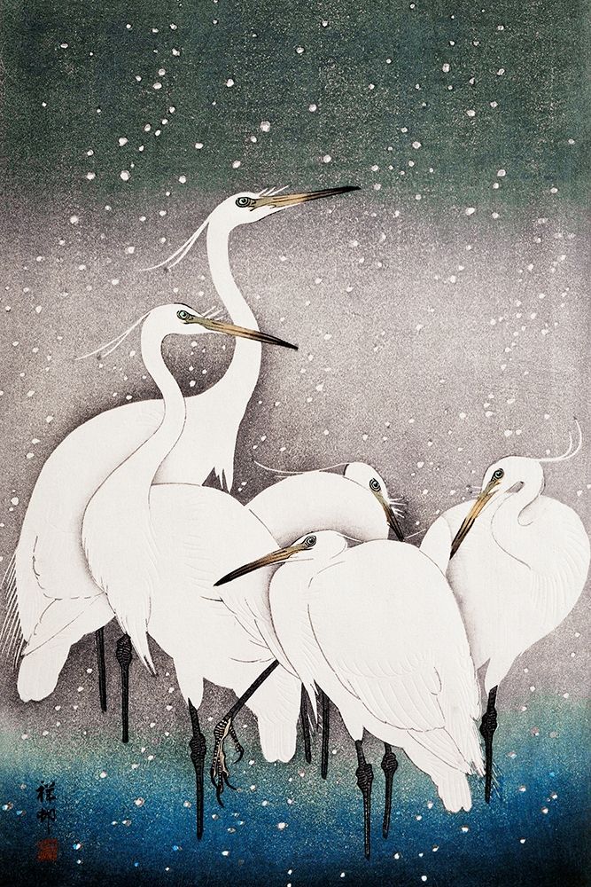 Group of Egrets