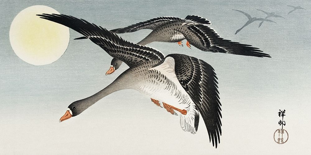 Birds at full moon