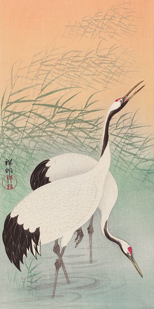Two cranes