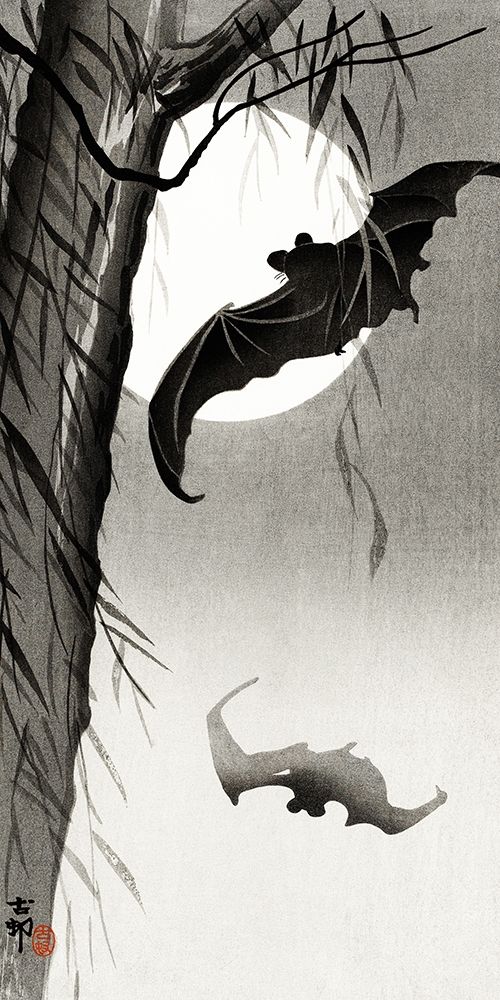 Bats under the full moon