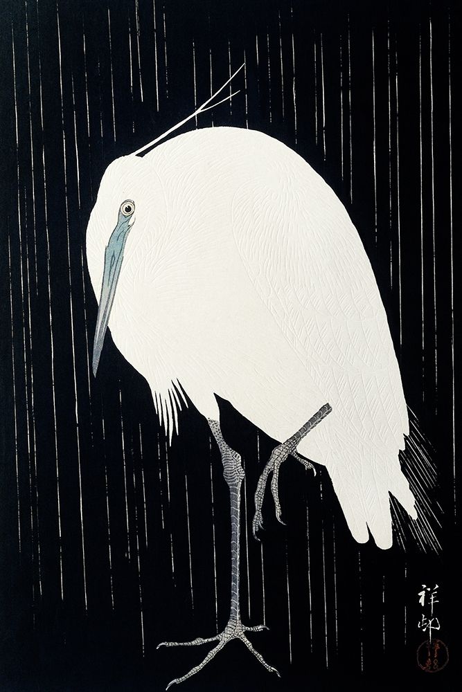Egret in the rain