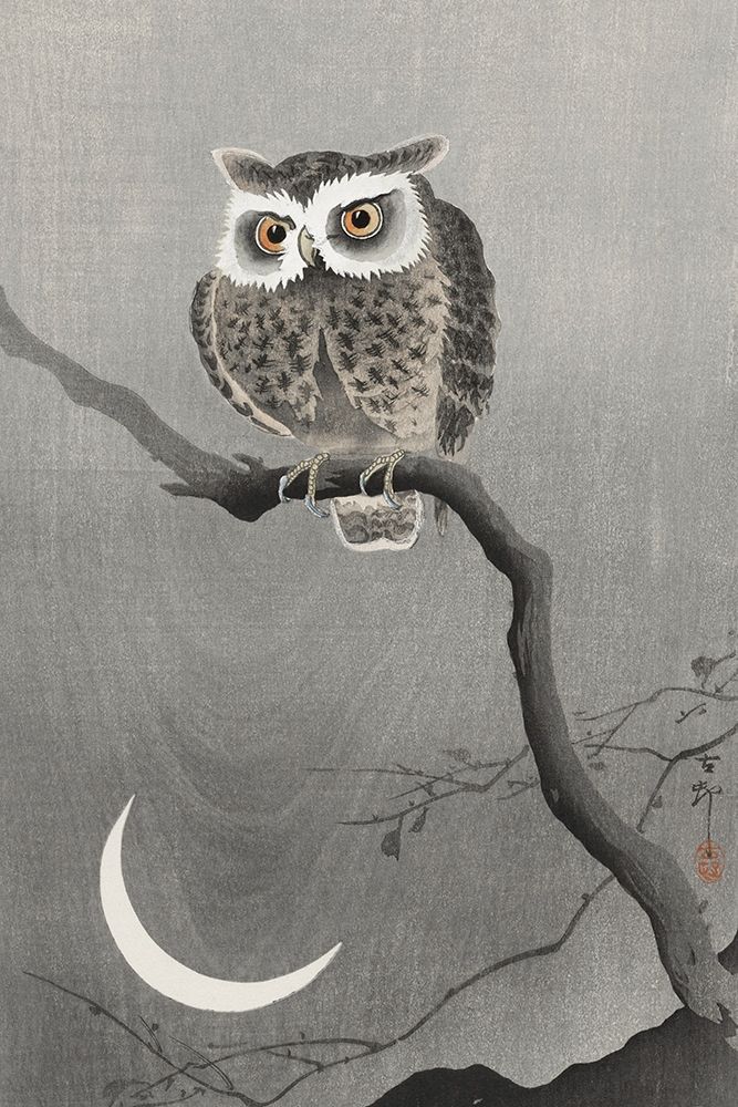 Long-eared owl on bare tree branch