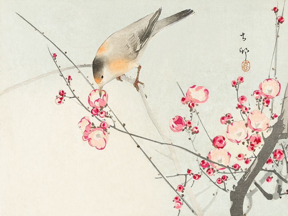 Songbird on blossom branch