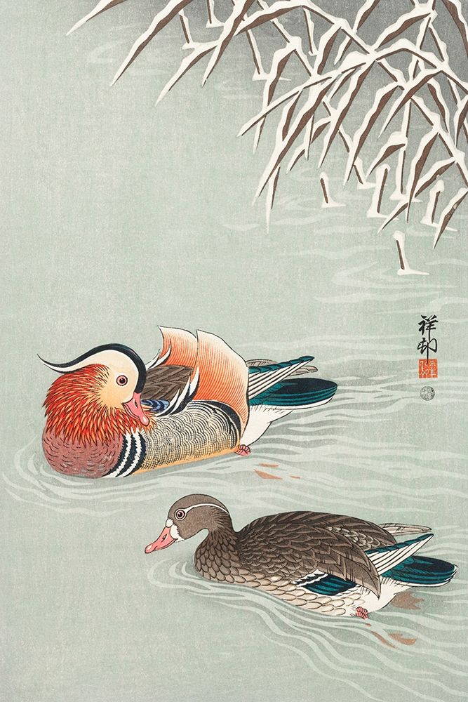 Mandarin ducks