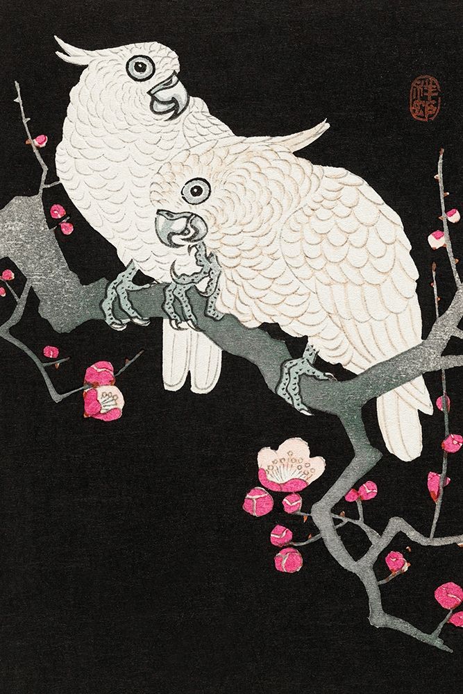 Two cockatoo and plum blossom
