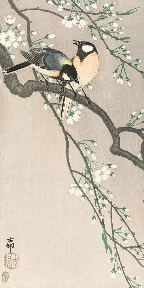 Tits on Cherry BranchÂ