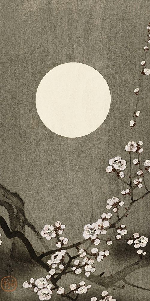 Blooming plum blossom at full moon