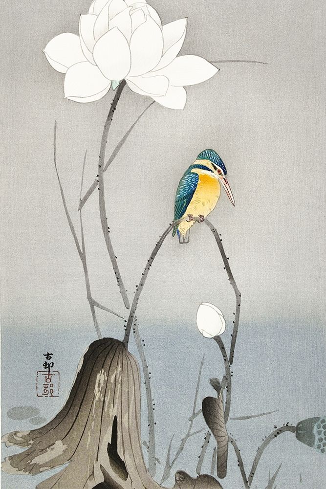 Kingfisher with Lotus Flower