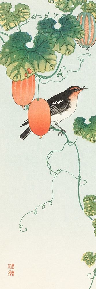 Songbird in cucumber plant