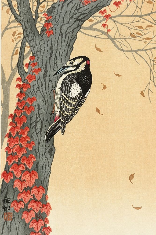 Great spotted woodpecker in tree with red ivy