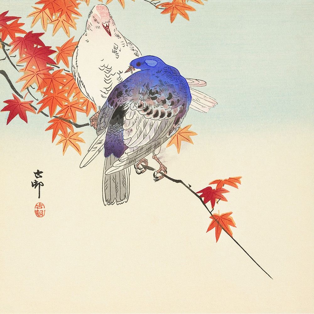 Two pigeons on autumn branch