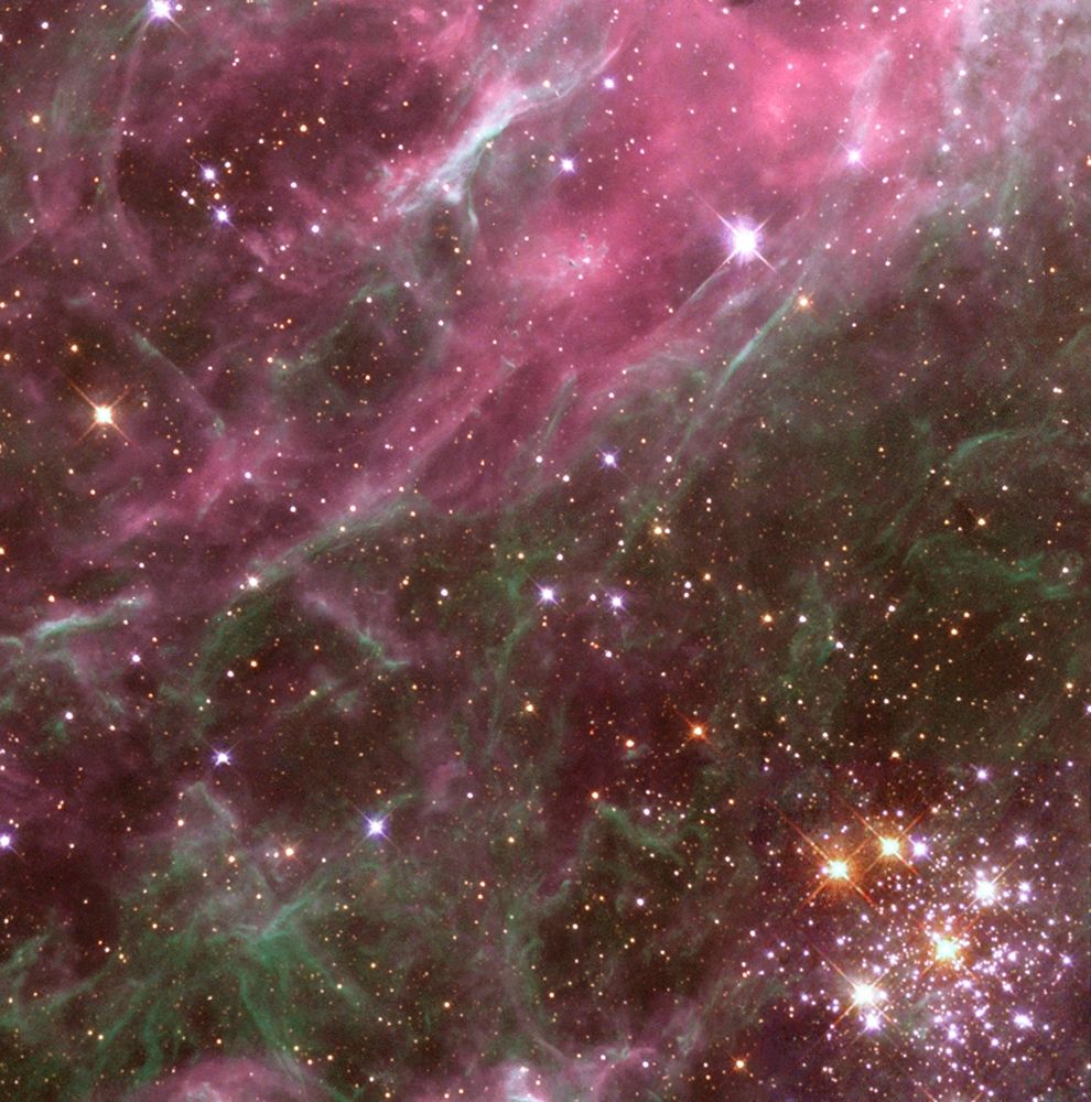 Tarantula Nebula