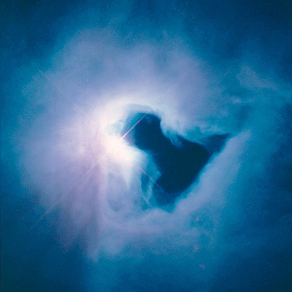 The Reflection Nebula in Orion