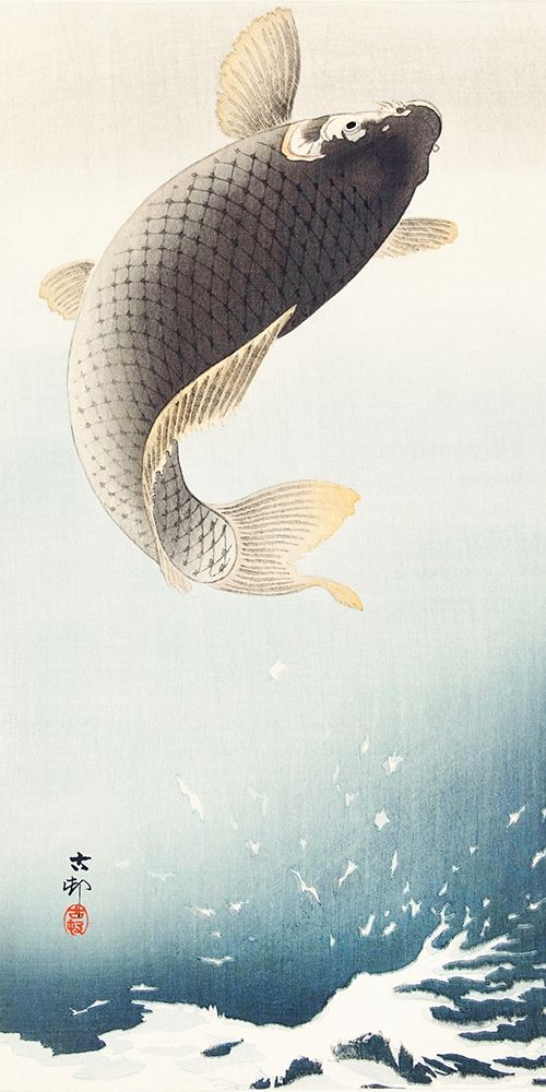 A jumping carp