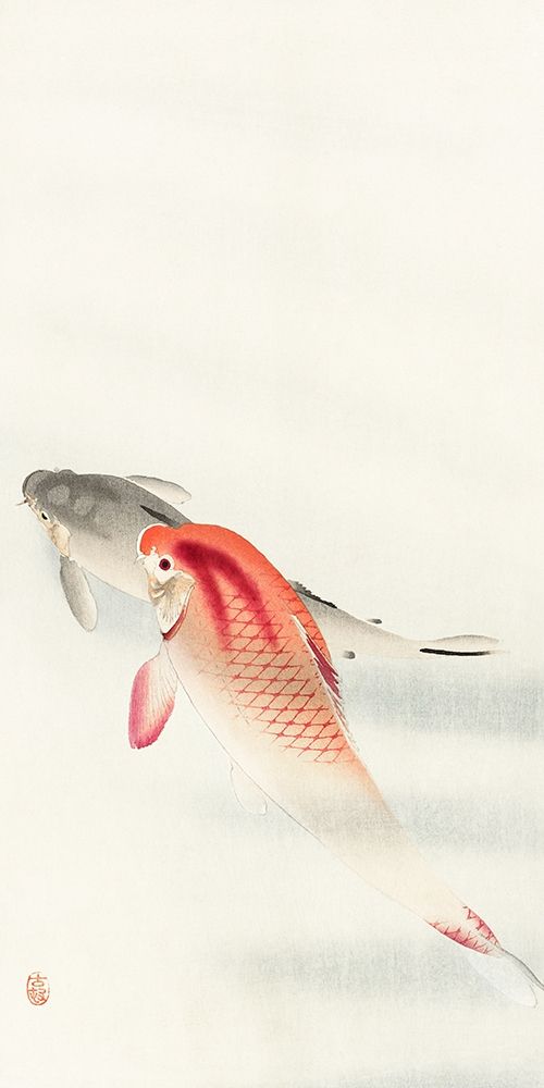 Two carp