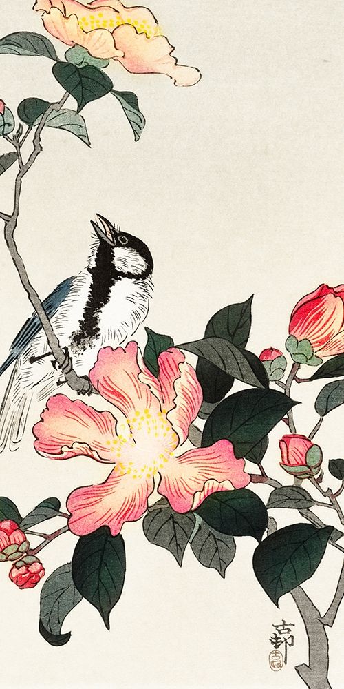 Great tit on branch with pink flowers