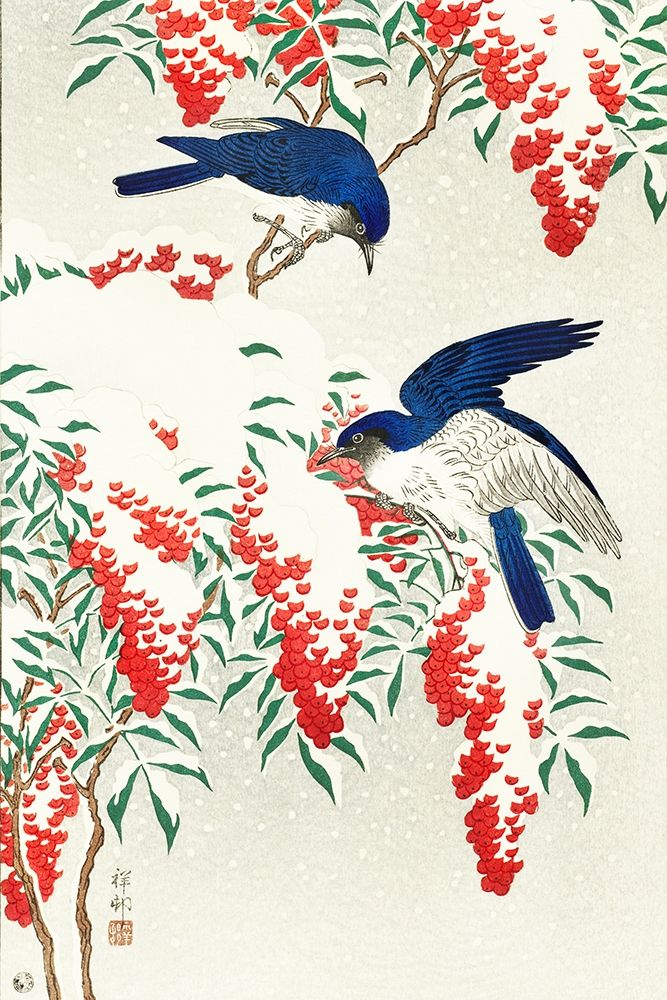 Flycatchers on a nandina bush