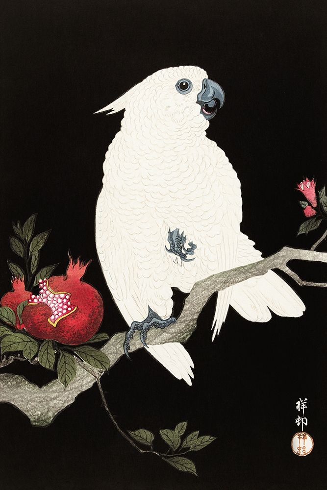Cockatoo and pomegranate