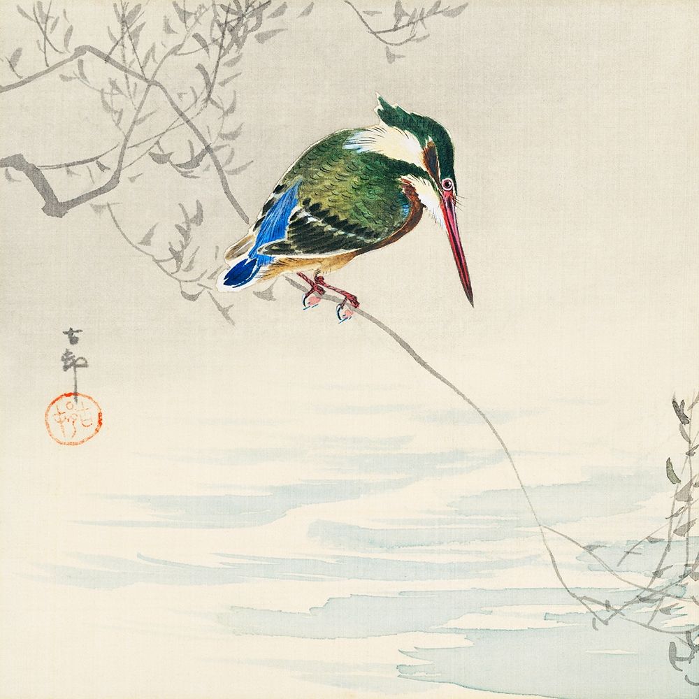 A kingfisher