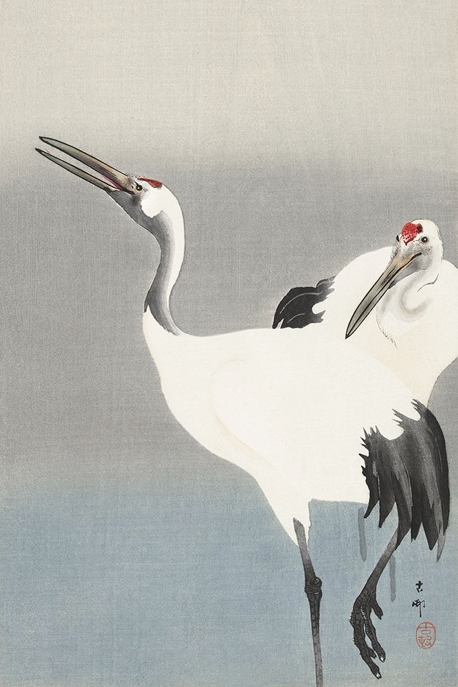 Two cranes