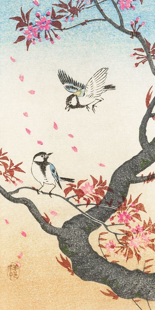Two great tits at blossoming tree
