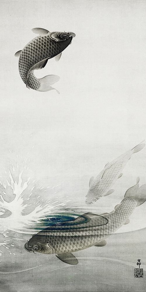 Three carps