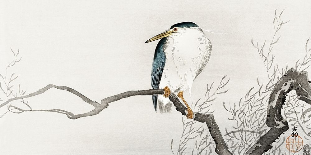 Quack on erratic branch