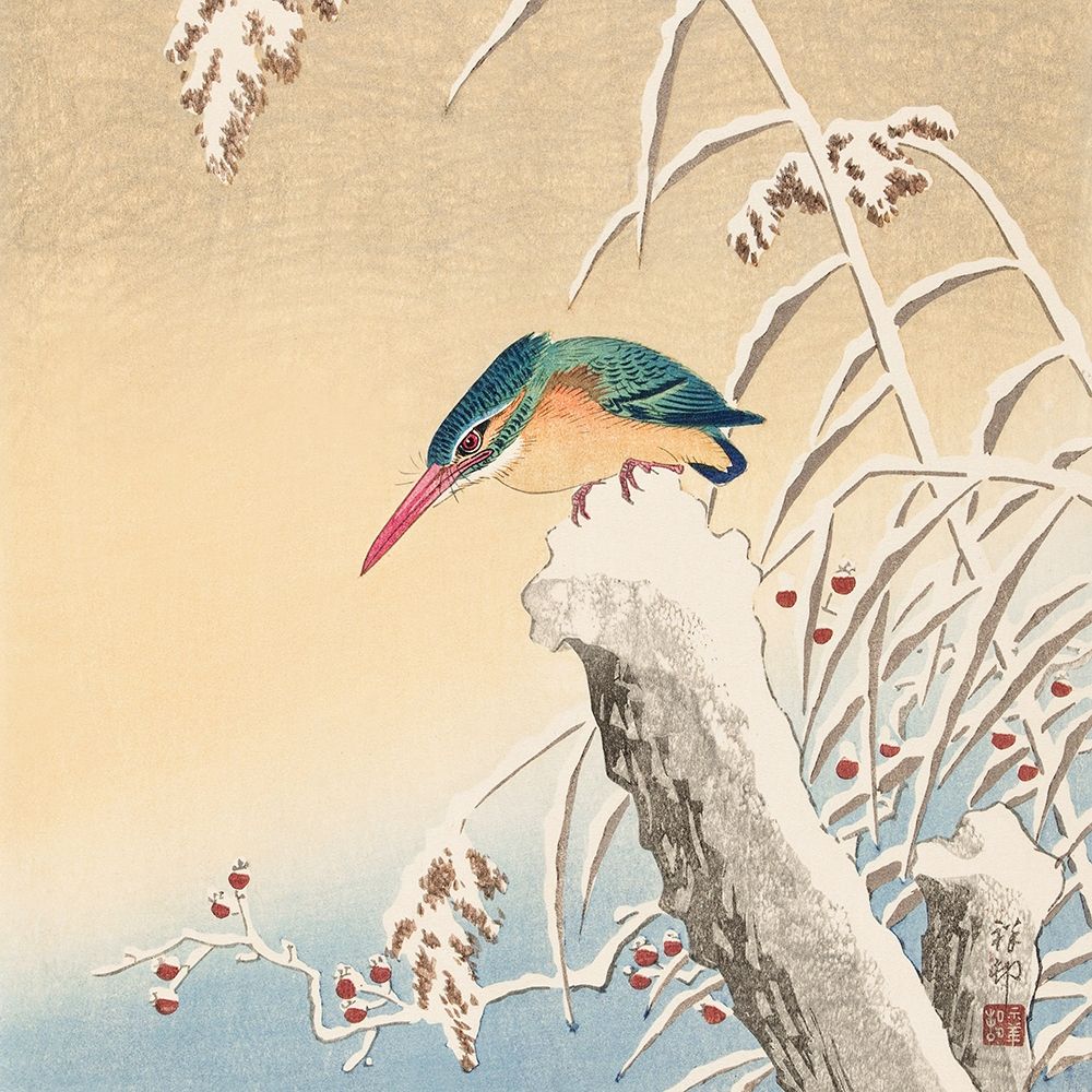 Kingfisher in the snow