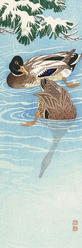 Couple of ducks in the waterÂ