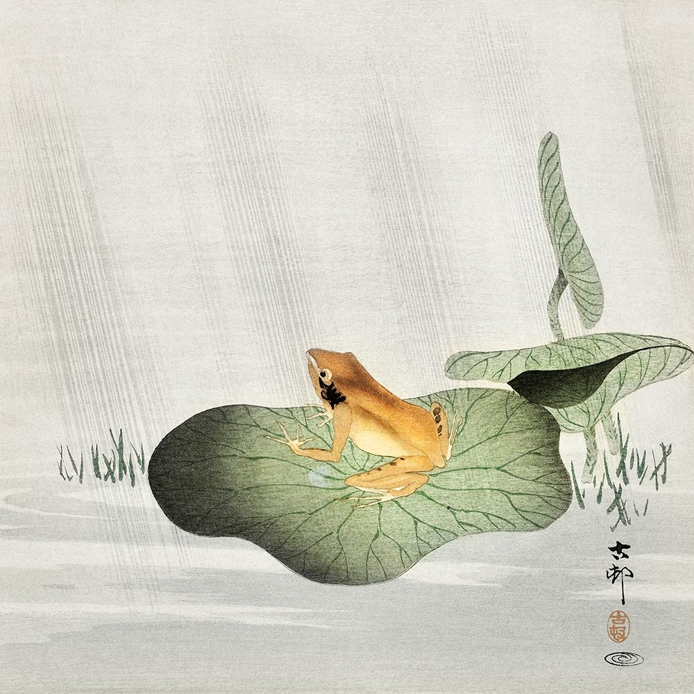Frog on lotus leaf